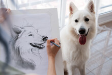 Crop Woman Drawing Dog With Tongue Out