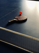 Table Tennis Racket And An Orange Ball Rested On The Table Tenni