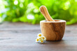 Homeopathic concept. A wooden mortar and pestle with calendula on a wooden table. A blurry green background.