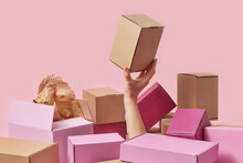 Woman Holding Brown Cardboard Box Among Colorful Ones
