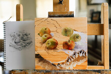 Apple Still Life Painting And Sketch 
