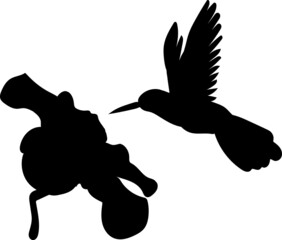 Wall Mural - Hummingbird Colibri Silhouettes Hummingbird Colibri SVG EPS PNG