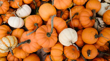 Pumpkins Background Free Stock Photo - Public Domain Pictures