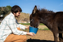 Young Man Taking Care Of Donkey Feeding It At Ranch