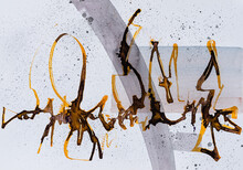 A Calligraphic Squiggle, Work With A Cola Pen Giving Chaos And M