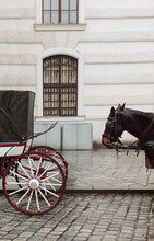 Horses Carriage On City Street