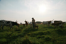Ranch Woman In Pasture With Cows