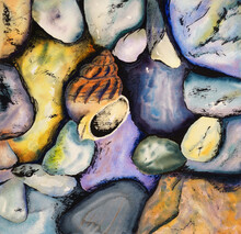 A Watercolour And Ink Painting - Shell With Pebbles
