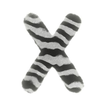 Furry Zebra Themed Font Letter X