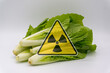 cabbage with radiation warnings.contaminated foods.Radioactive Vegetables.metaphor for nuclear threat.Nuclear leak,Environmental damage.white background.