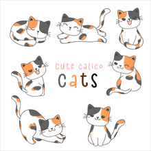 Group Of Cute Playful Calico Kitty Cat Drawing Illustration, Tricolor Cats Vector