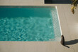 © Malquerida Studio/Stocksy - Cat sitting by a swimming pool