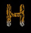 Furry Tiger Themed Font Letter H