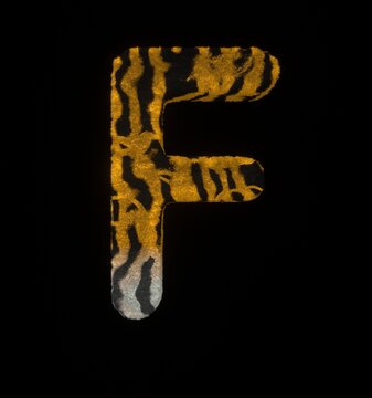Furry Tiger Themed Font Letter F