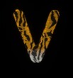 Furry Tiger Themed Font Letter V