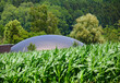 Biogasanlage mit Maisfeld   Bioenergie
