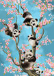 Cute pandas on a sakura tree illustration for postcards and posters
