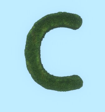 Grass Themed Font Letter C