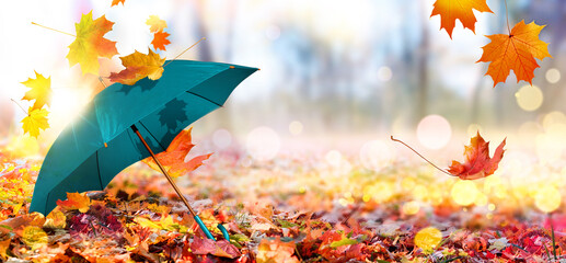 Wall Mural - Autumn background with green umbrella and fallen maple leaves