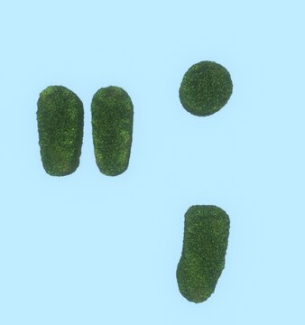 Grass Themed Font Quotation Mark and Comma and Period