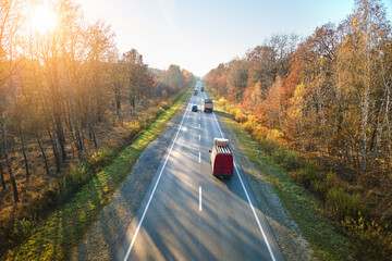 Canvas Print - Aerial view of intercity road with fast driving cars between autumn forest trees at sunset. Top view from drone of highway traffic in evening