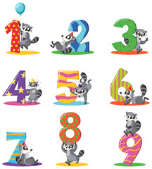 Set of different raccoon holding the numbers isolated on white background