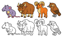 Vector Illustration Set Of Cartoon Wild Animals And Variants For Coloring Book
