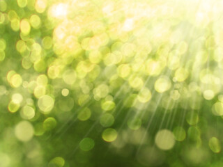 Wall Mural - spring abstract green blurs background with sunny beams shiny bokeh