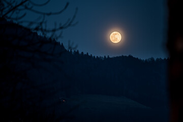 full moon in the forest