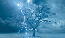 Lightning Strike On A Dark Blue Sky Over The Tree Branch Silhouette