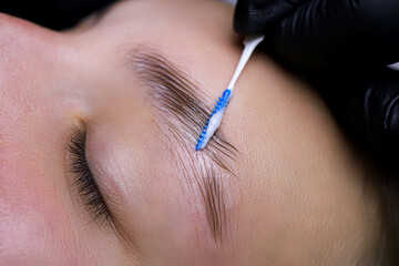 Wall Mural - close-up of eyebrow hairs styled and combed with laminating compositions