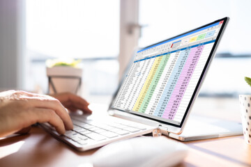 Poster - Electronic Spreadsheet Analyst Or Auditor Using Software