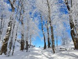 Fototapeta Fototapety na ścianę - Zimowe, piękne  mroźne pejzaże w okolicy góry Ślęża. Niebieskie niebo i zamarznięte drzewa.
