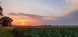 zachód słońca kukurydza pole uprawne