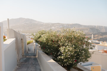 Wall Mural - Santorini