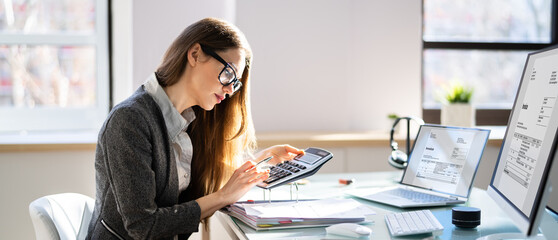 Aufkleber - Accountant Or Auditor