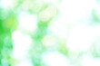 © pla - Bokeh abstract in bright green and white tones, blurry. for background
