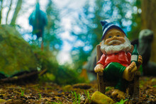 Gnome Chilling In Front Of Natural Background