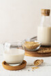 © TATIANA Z - Oat milk in glass and bottle with whole grain oats