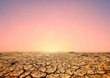 Fototapeta  - Lands cracked by drought due to environmental changes and global warming