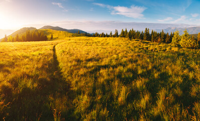 Fotobehang - Morning sunlight illuminates the mountain ranges. Carpathian mountains, Ukraine.