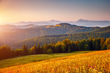 Fotobehang - Morning sunlight illuminates the mountain ranges. Carpathian mountains, Ukraine.