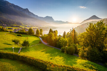 Aufkleber - Breathtaking views of the morning green garden in sunlight. Grundlsee, Austria, Europe.