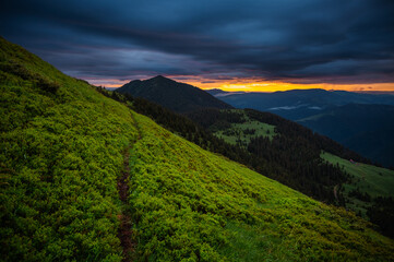 Wall Mural - Majestic view of the mountains in the morning light. Carpathian mountains, Ukraine.