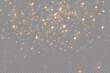 © kulinskaia - Vector light with starry sparkle. Magic effect. Light effects background.