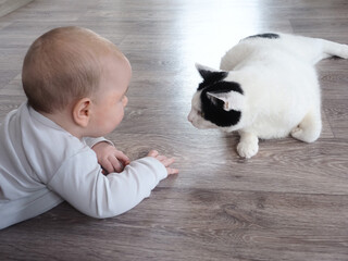 Wall Mural - five-month-old baby lies on the floor looks at the cat pet