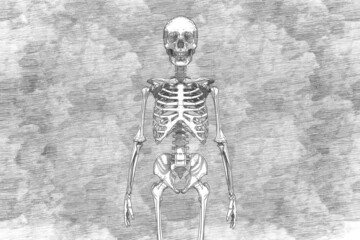 Drawing a human skeleton with a pencil on the background of hatching