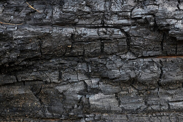 Black coal texture background. close-up. charcoal is a lightweight black carbon residue produced by strongly heating wood. charcoal is widely used for cooking or other industries.