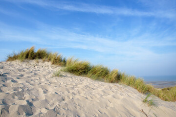 Sand dunes and beach  of Fort-Mahon-Plage. Hauts-De-France region  