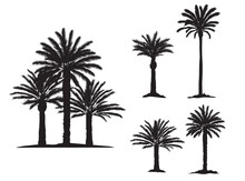 Date Palm Trees Silhouette Vector
